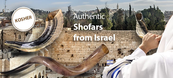 Shofars-CATEGORY-MOBILE-T