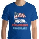Pro-America, Pro-Israel. Cool Jewish T-Shirt