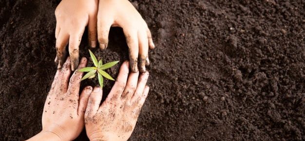 child-hands-holding-caring-young-green-plant_1150-12738