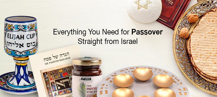 Everything-You-Need-for-Passover-cat-m