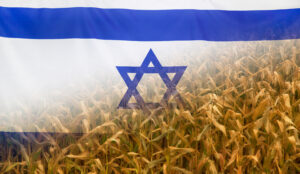 Israel Nutrition Concept Corn field with fabric Flag