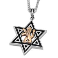 00star_of_david_and_lion_of_judah_necklace