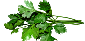 parsley-g60df1a35b_1920-1.png